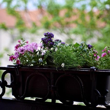 Emily Apartment Kosice Bagian luar foto