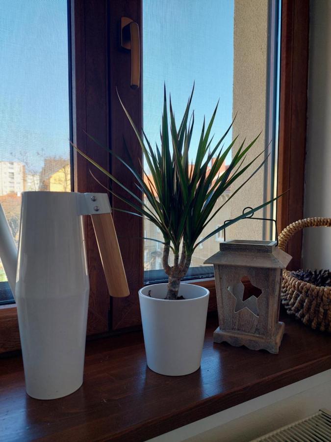 Emily Apartment Kosice Bagian luar foto