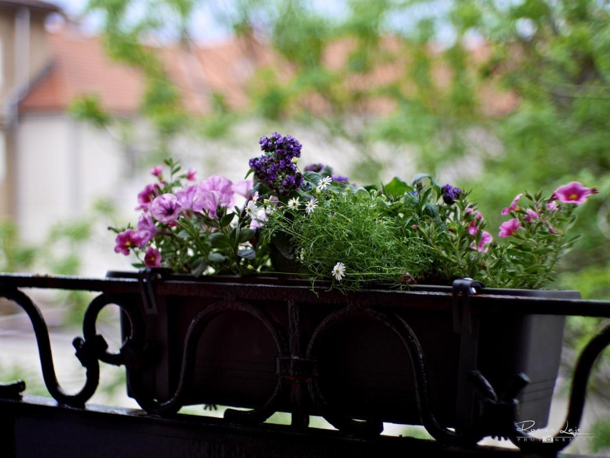 Emily Apartment Kosice Bagian luar foto